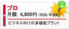 プロ 月額7140円